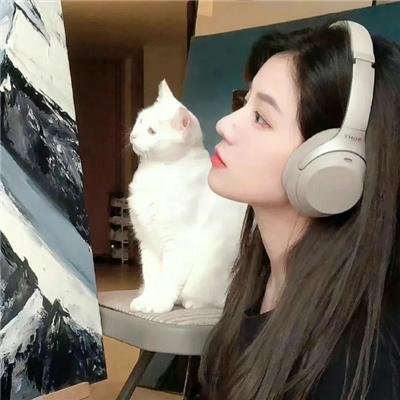 风月无边海报