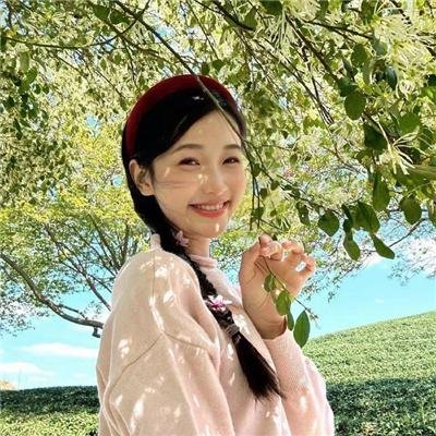花篮花儿香海报